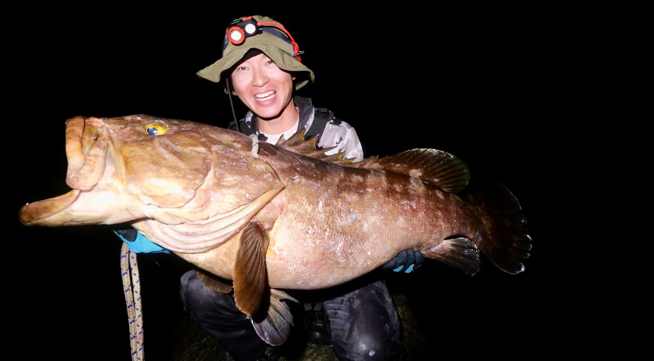 WILD SEEKER 453HH (ワイルドシーカー453HH)