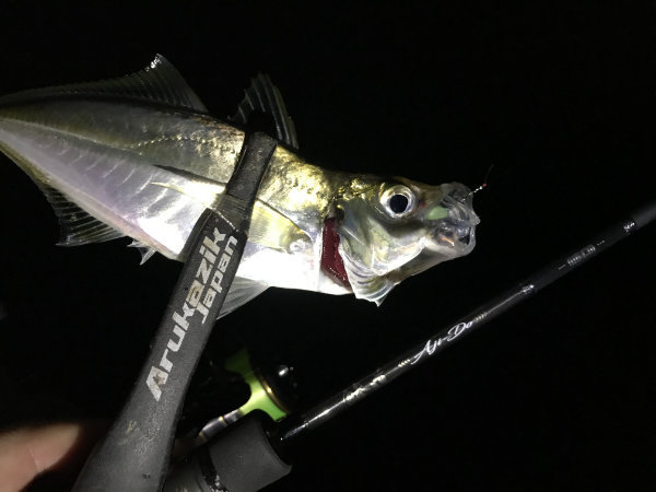 予想に反する高性能ロッド「鯵道 5G」について解説＆考察！ | AjingFreak