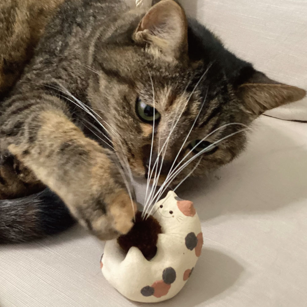 Dela猫 | シナト・ビジュアルクリエーション ショップ