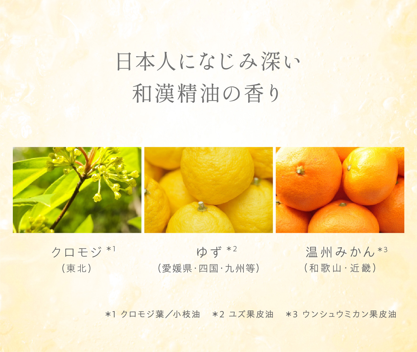 エステサロン品質、ゲル化粧品のラシンシア公式ショップLA SINCIA IN