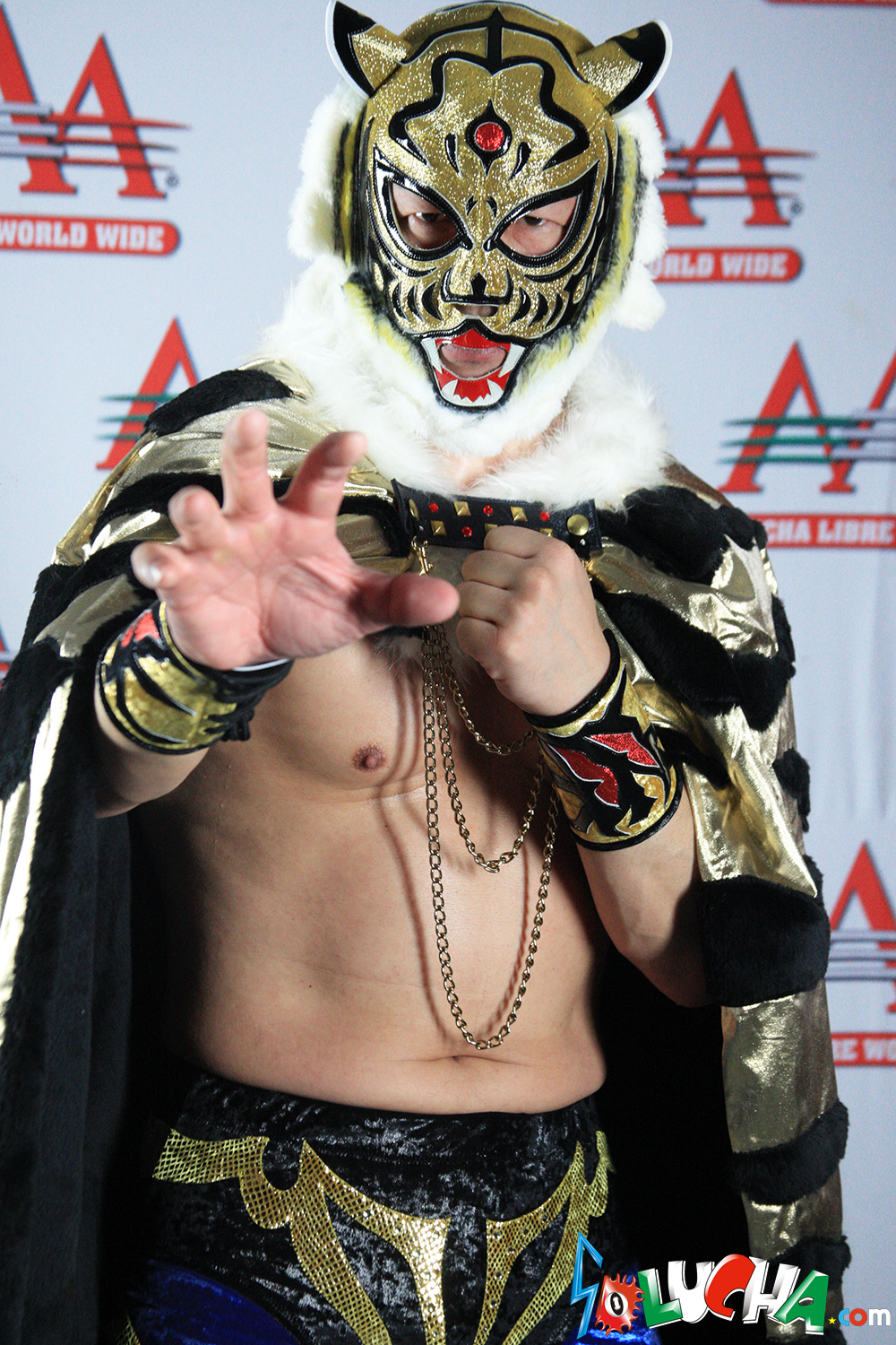 ト*ー様 値下げ！タイガーマスク試合用マスク (伝説)3代目タイガー・金