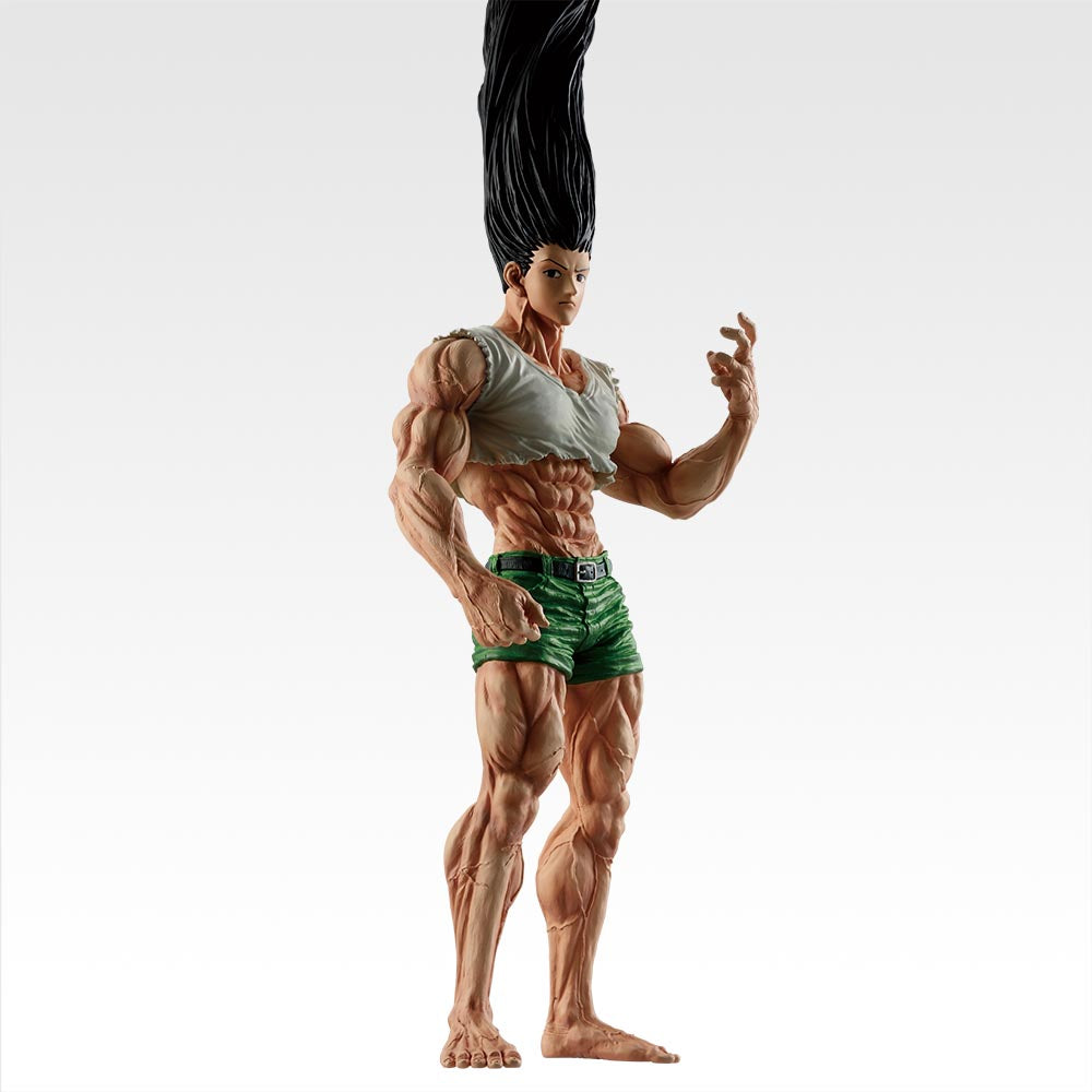 Hunter × Hunter - Gon Freecss - Ichiban Kuji Hunter x Hunter