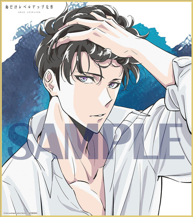 店舗特典 - Blu-ray&DVD | TVアニメ「俺だけレベルアップな件」公式サイト