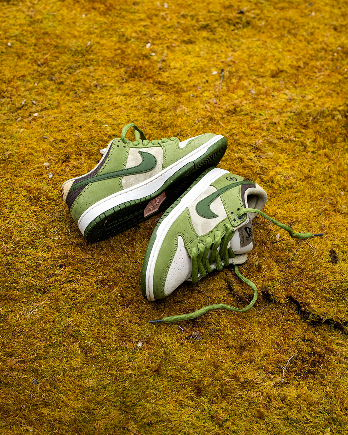 Yuto Horigome Nike SB Dunk Low 
