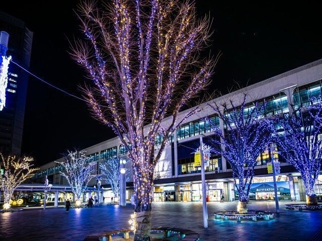 ビッグツリーページェント・フェスタ in KORIYAMA 2025