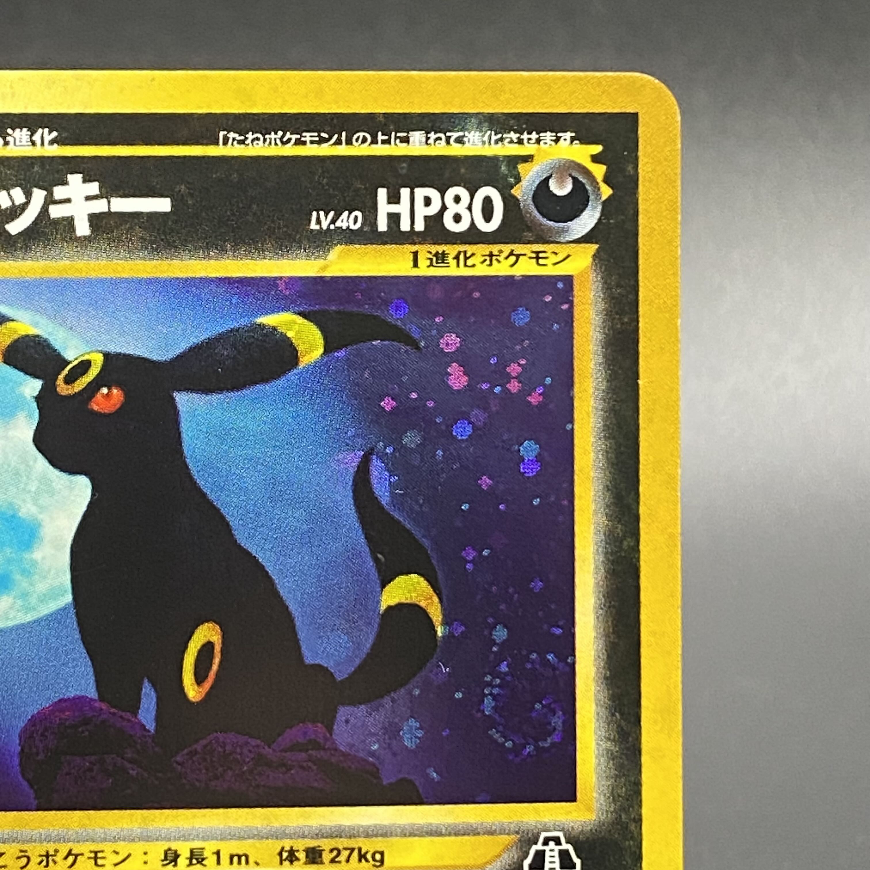 PSA9 旧裏 ブラッキー 拡張パック 第2弾「遺跡をこえて