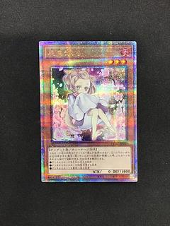 遊戯王 灰流うらら シークレット 絵違い 20枚 灰流うらら 絵違い 25th