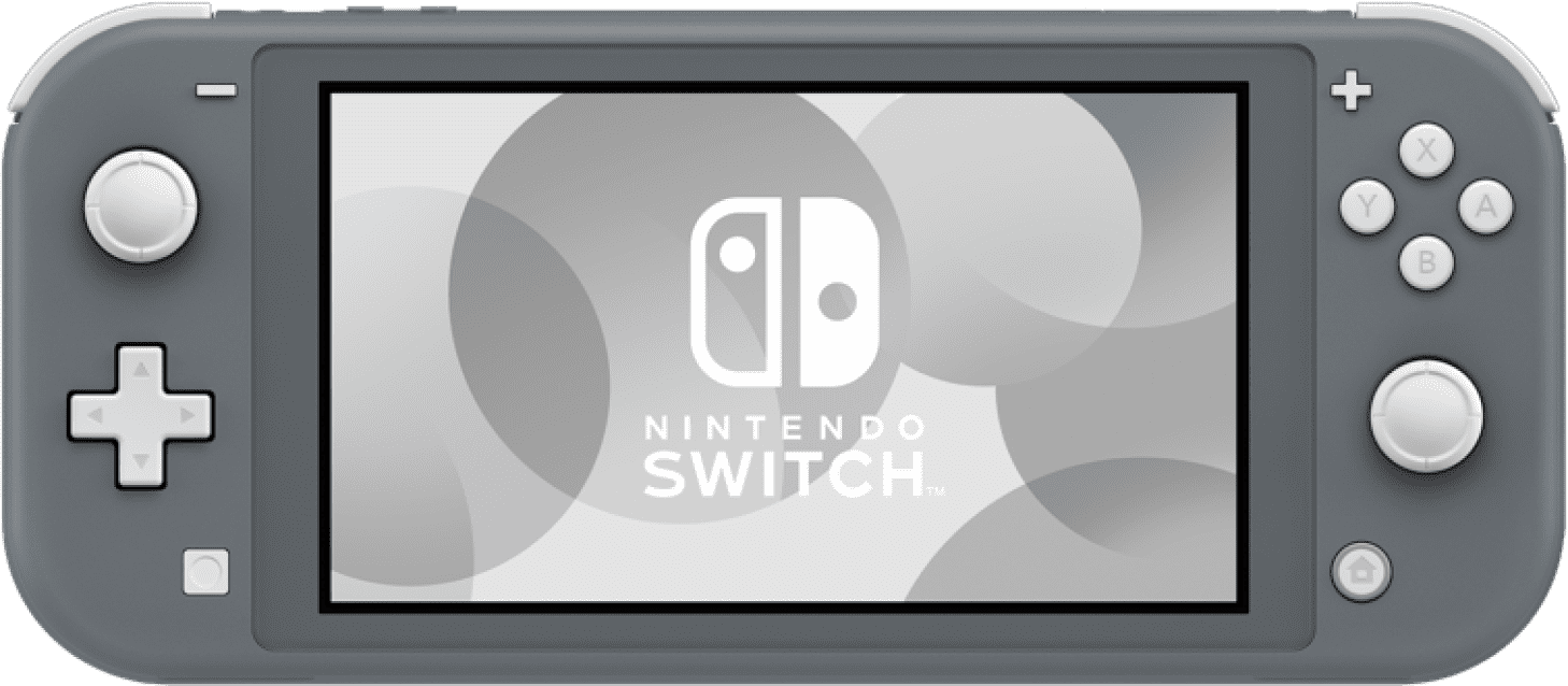 Nintendo Switch Lite グレー 充電器付き 初期化済み ニンテンドー