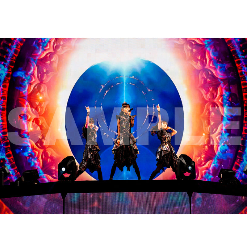 DVD］LIVE AT THE FORUM – TOY'S STORE