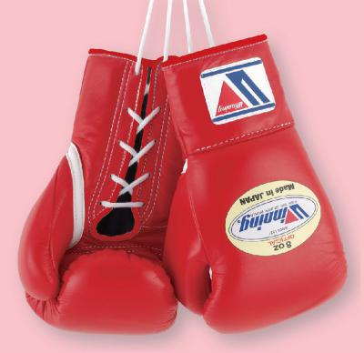 MS-200 8oz Pro Boxing Gloves