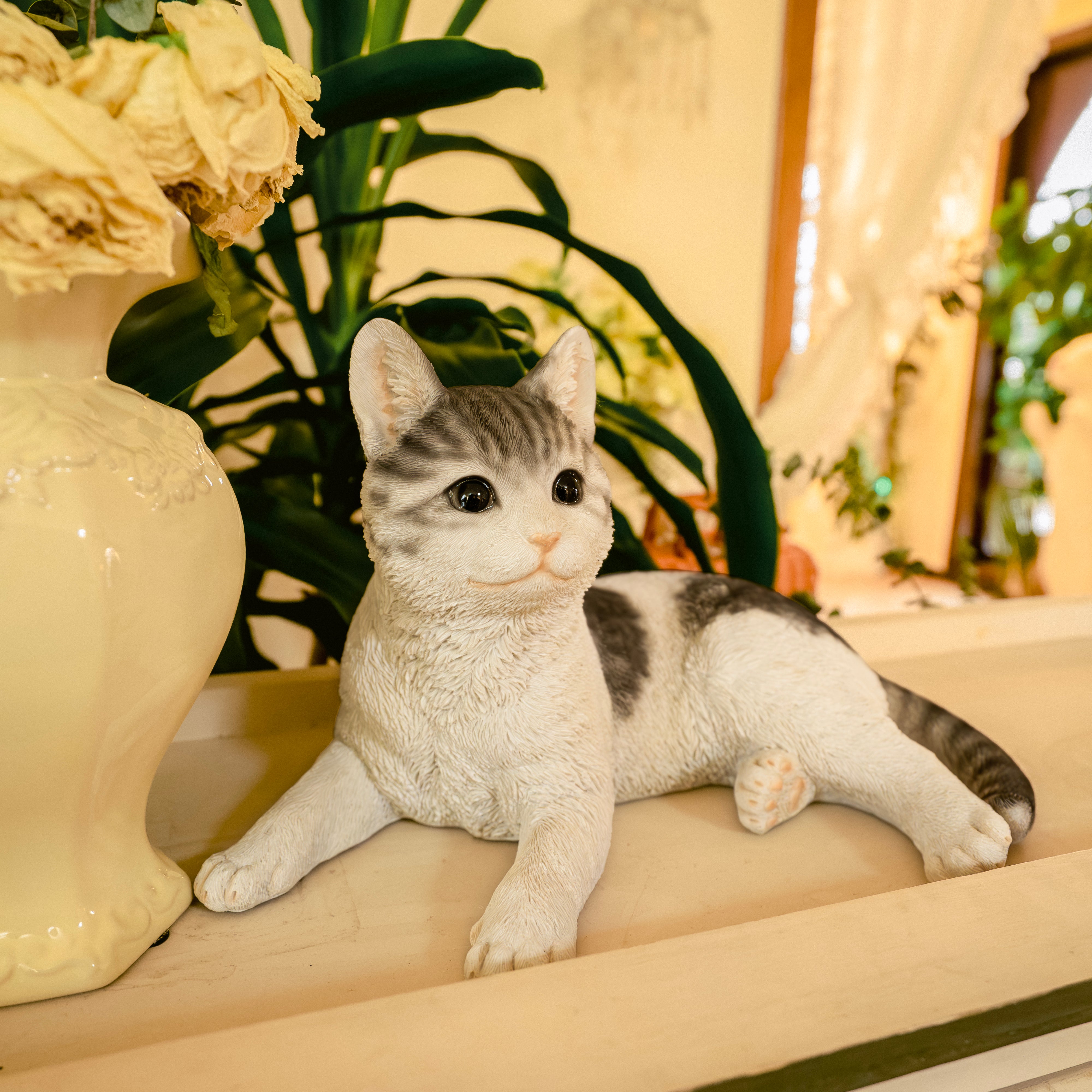 白猫 白猫】 白猫】 白猫 】 白猫好き 白猫 ZX白