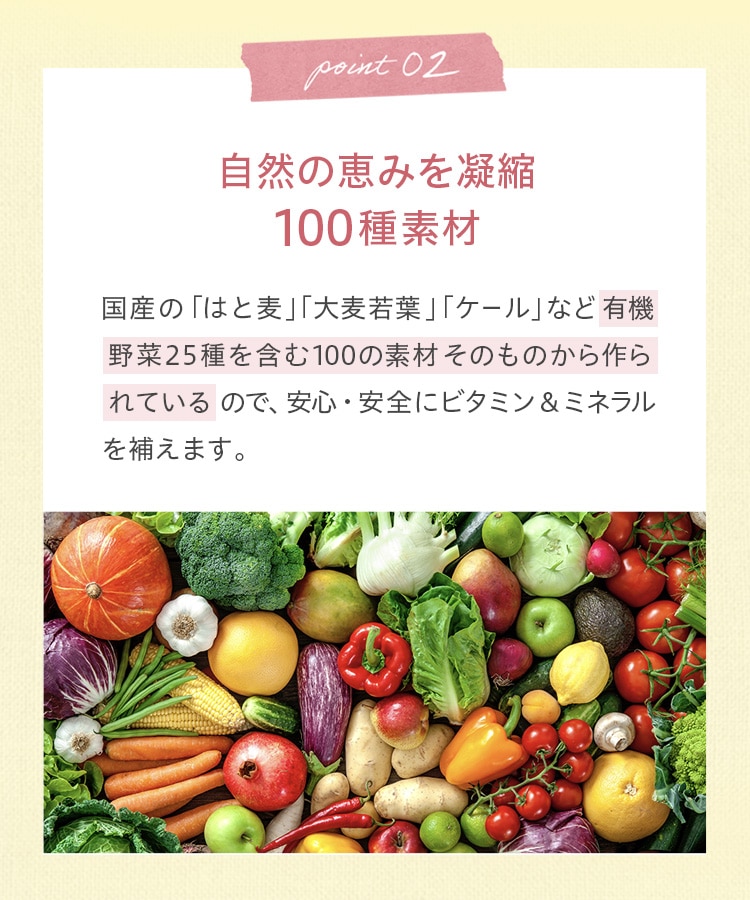 Yoganic Life ヨギーニフード100 ストロベリー: 美容・健康LAVA公式
