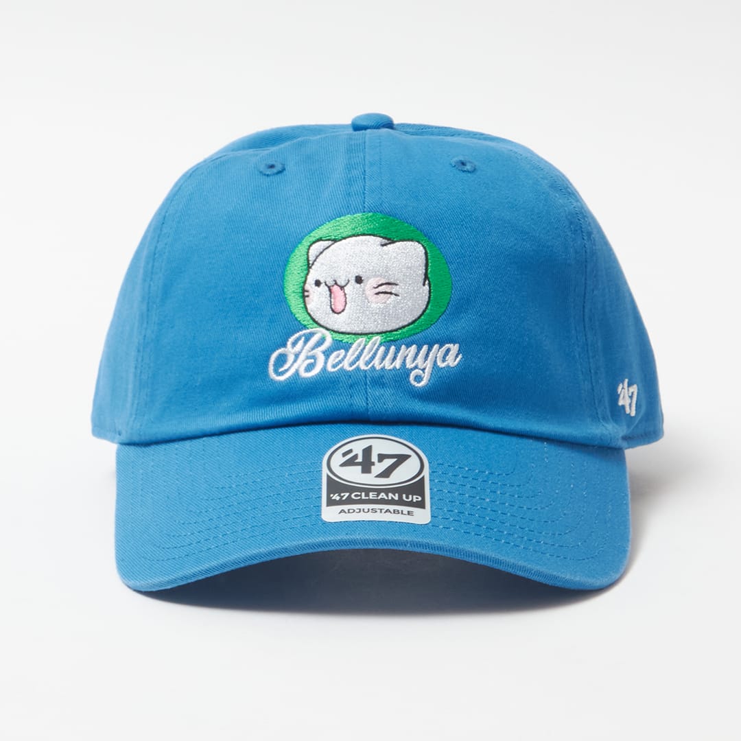 埼玉西武ライオンズの2013キャンプの帽子です 埼玉西武ライオンズ