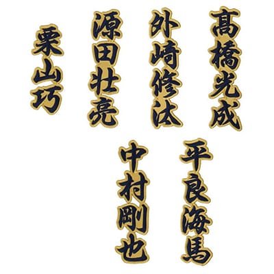 選手から探す/#60 中村 剛也 | 埼玉西武ライオンズ公式オンラインショップ