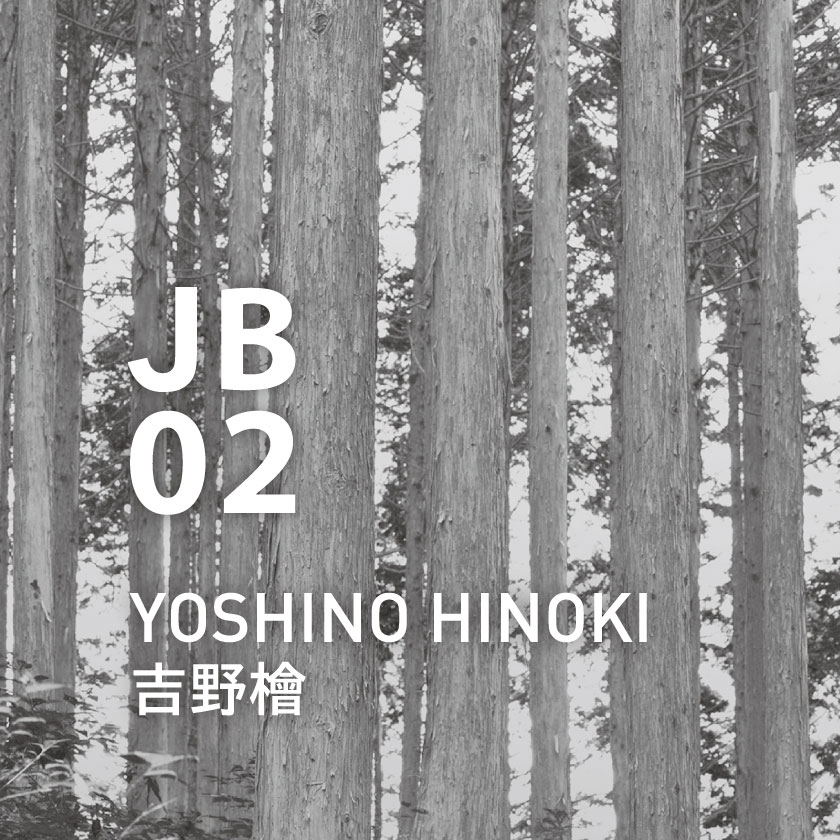 JB02 吉野檜 10mlの通販｜CAT_OIL｜アットアロマ | アロマ専門通販