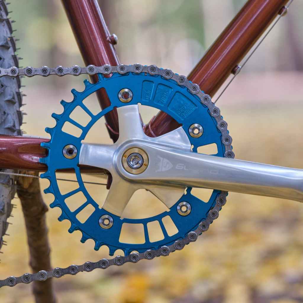 AARN* narrow wide chainring BL limited (teal) - BLUE LUG ONLINE STORE
