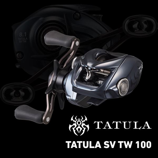 ダイワ ベイトリール 25タトゥーラ SV TW 100(右)【即日発送】(100