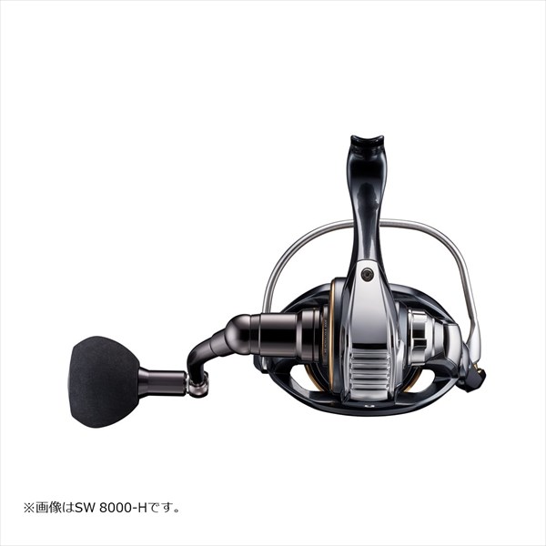 ダイワ スピニングリール 22カルディア SW 8000-P(8000-P): リール