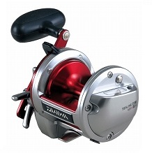 ダイワ（Daiwa） リール シーライン 石鯛 40H遠投(40H遠投