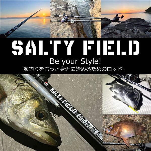Abu アブガルシア ソルティーフィールド SFS-762L: 竿｜釣具の通販なら