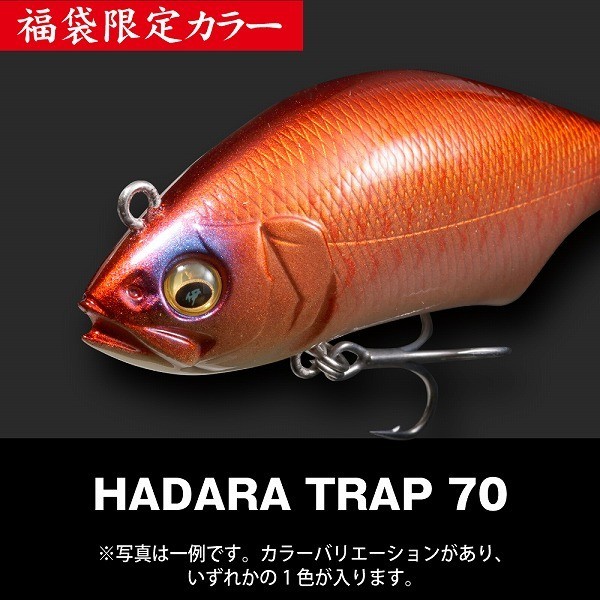 早い者勝ち❤️ 最終価格‼️残り1点 メガバス 2026 福袋 SALT タマン
