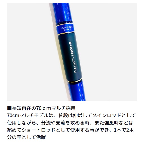 ダイワ 鮎竿 銀影エア ショートリミテッド(SHORT LIMITED) T H80(7