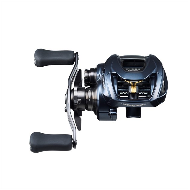 ダイワ ベイトリール スティーズ A2 TW 1000(右)(1000): リール｜釣具
