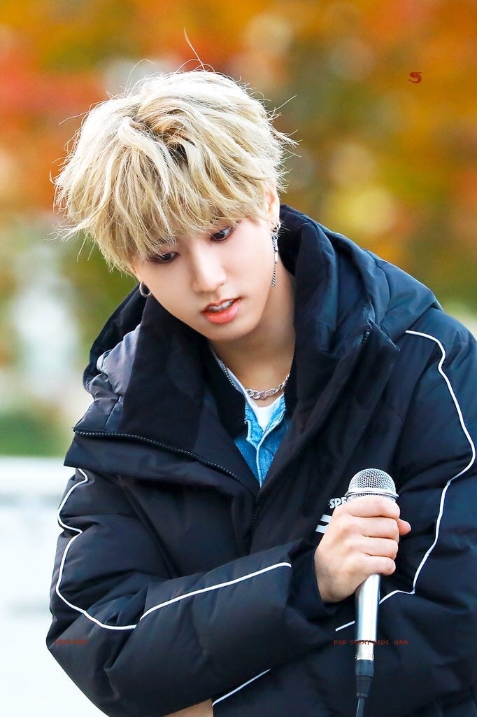 Stray Kids/写真集めました(HAN特集) | Stray Kids&WAKERそしてKポ