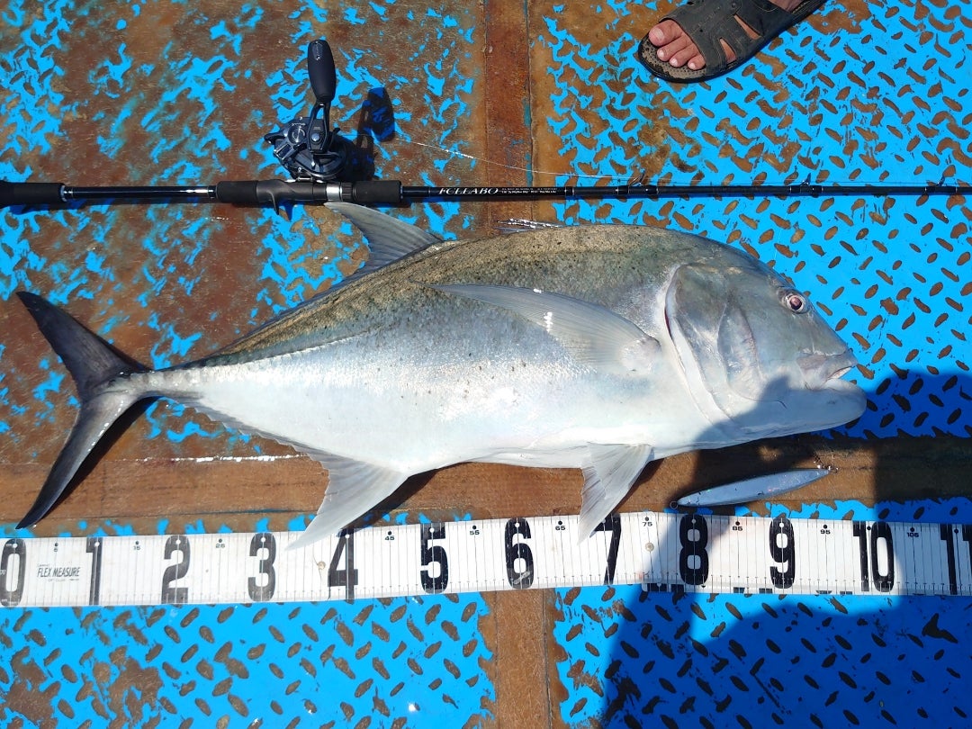 リョウ様 FCLLABO FCB64Jig リョウ様 FCLLABO FCB64Jig FCB64Jig
