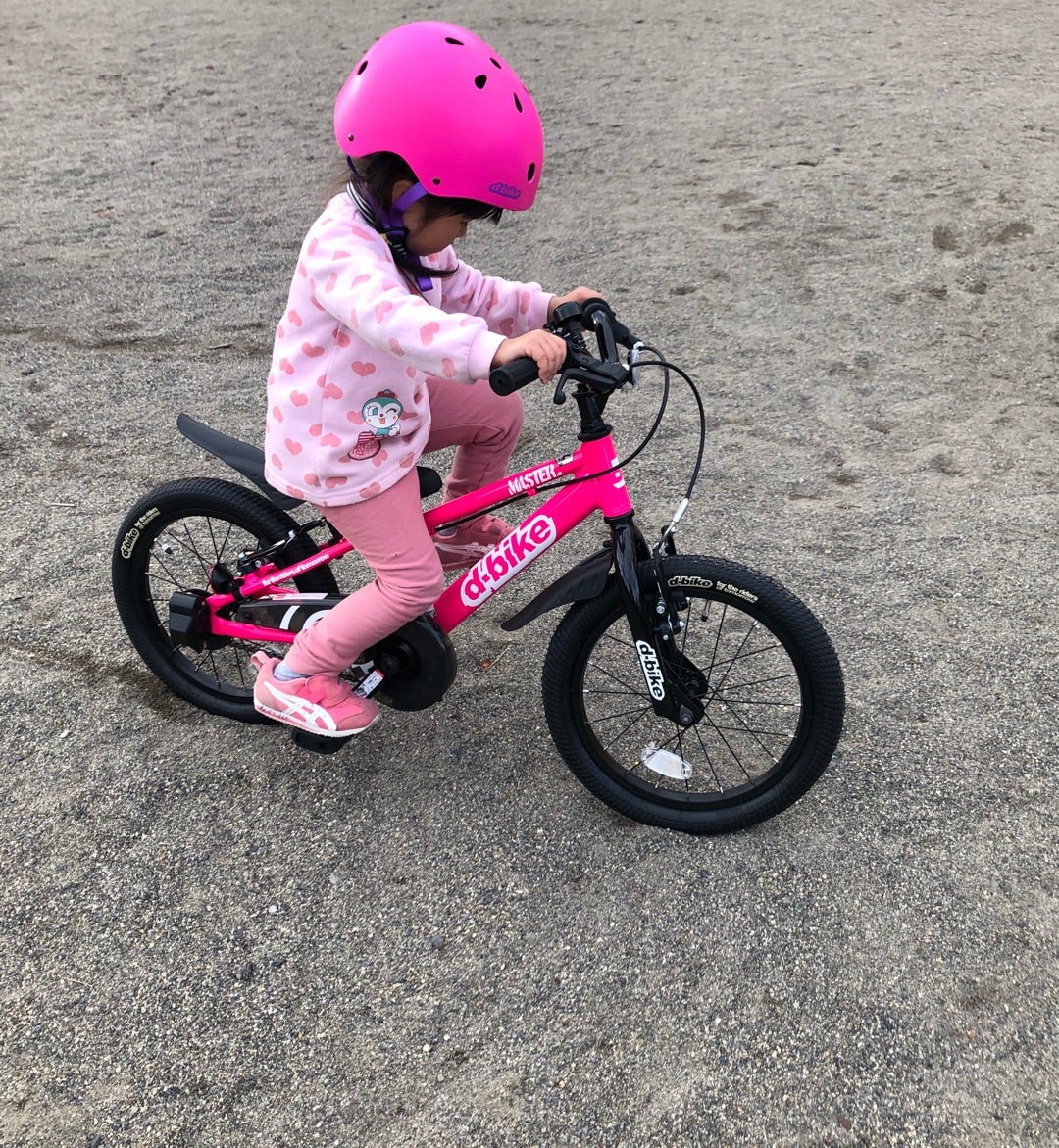 ♡D-Bike MASTER AL | シンプル生活心豊かな毎日とことん楽しむ