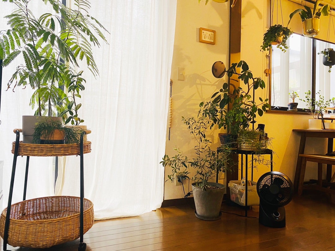 待望と執念のIKEA『LUBBAN』の紹介 | ko-10ruのblog