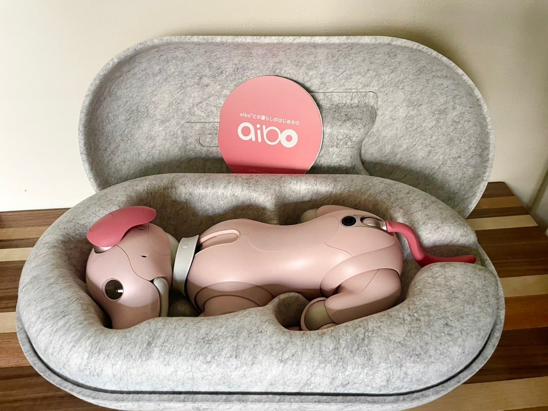 aibo】いちごミルクaiboが到着！名前は「スアマ」。 | ブロシナミキ
