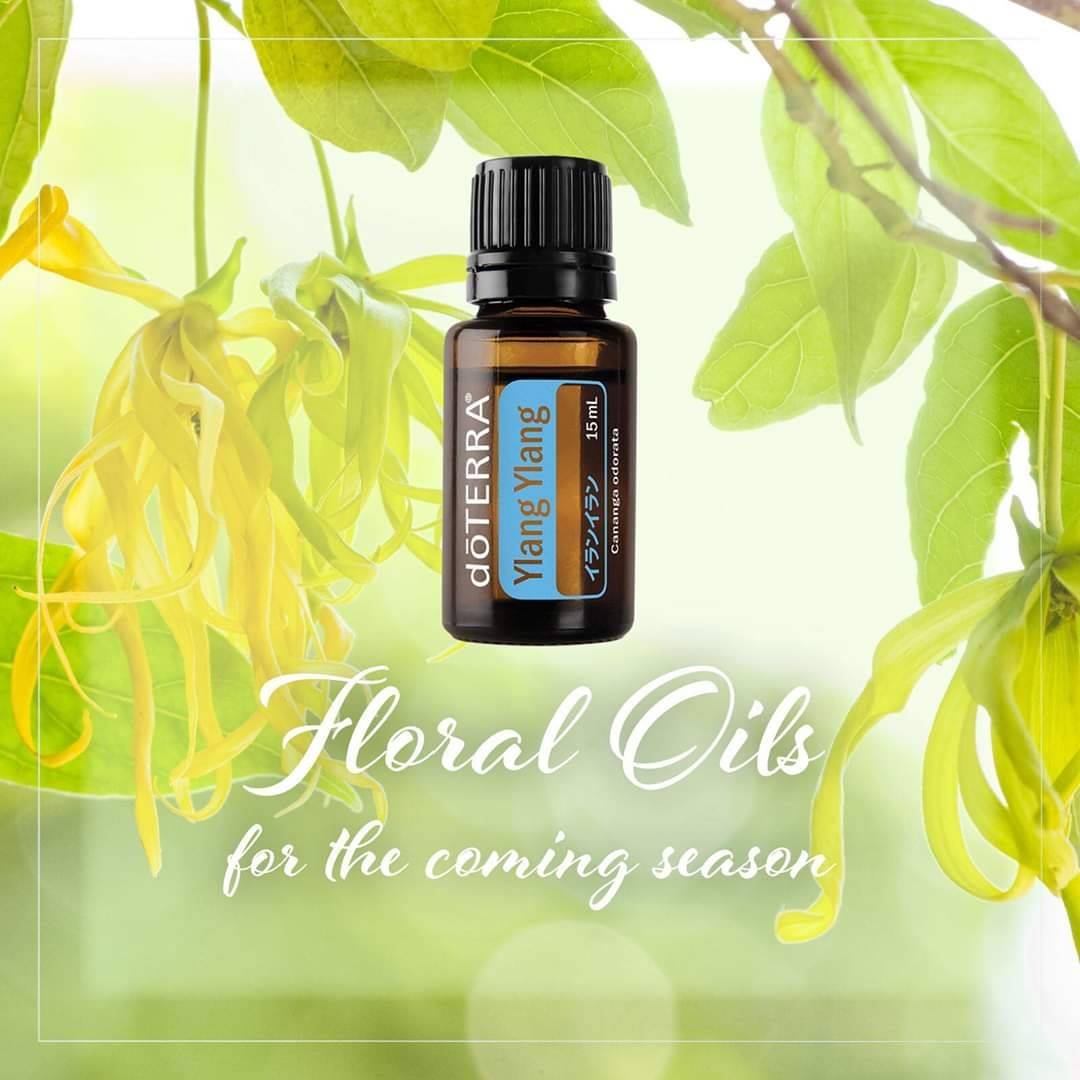 モテる香り❤️『イランイラン』の使い方 | doTERRA(ドテラ)のある生活