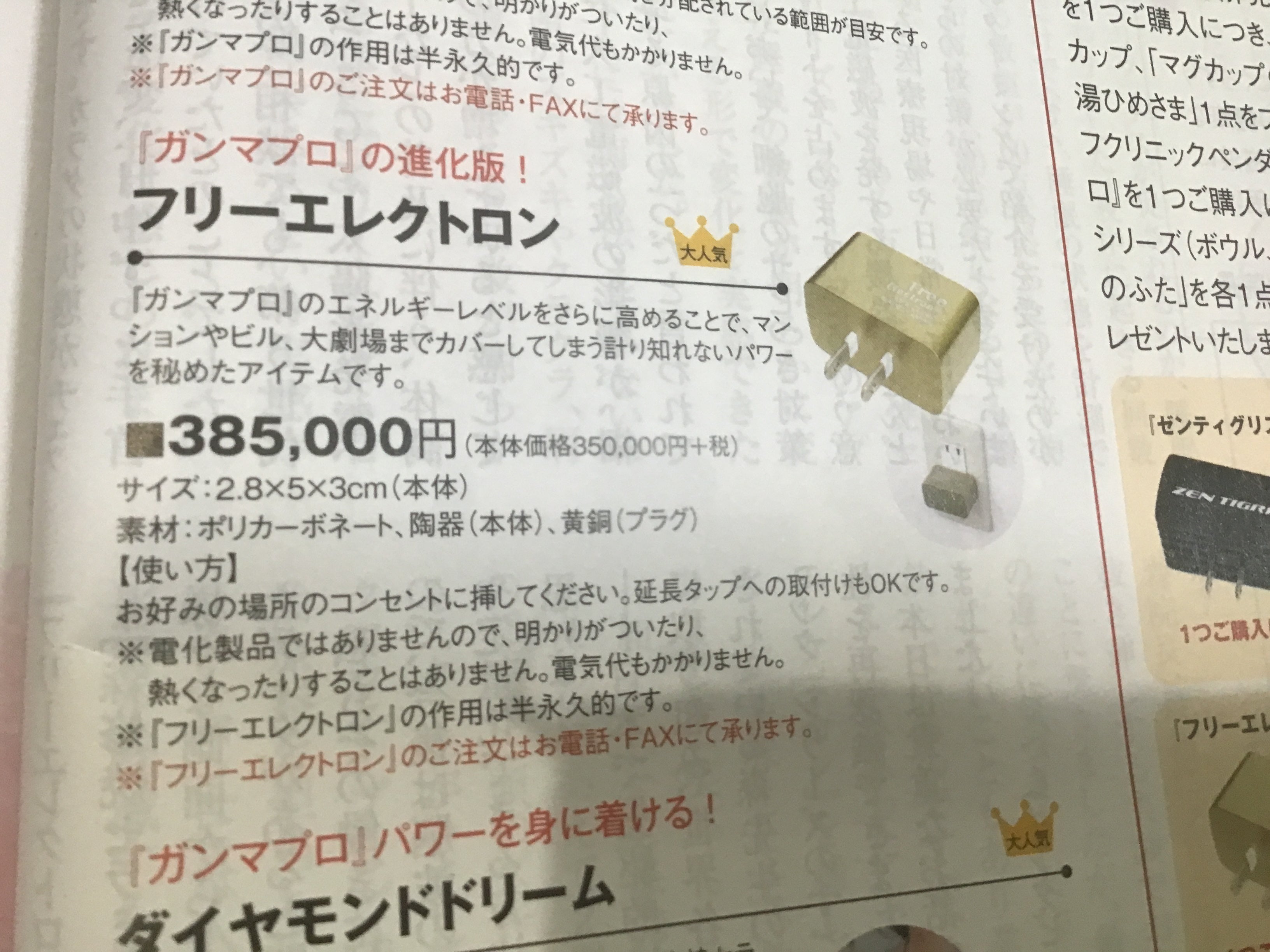フリーエレクトロン森修焼！ | 青春親爺のオーガニックライフ