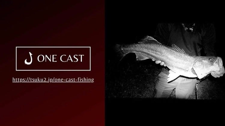 ロッドインプレ 〜fooji'n RS スプリンガー88ML〜 | ONE CAST Angler's