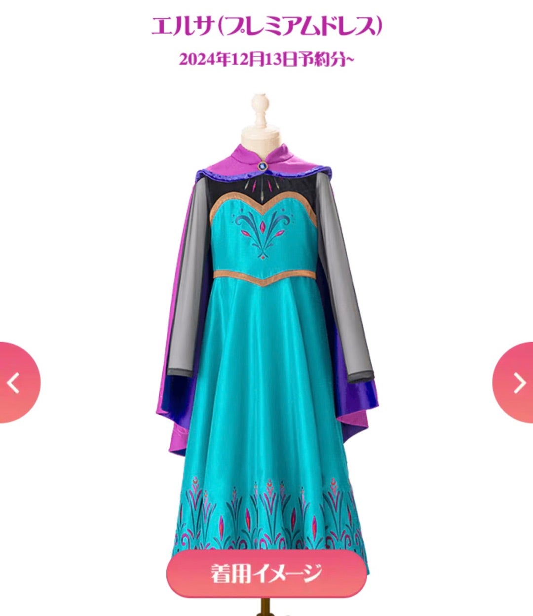 即日発送 廃盤 ディズニー プリンセス ドレス エルサ ビビデ ビビディ