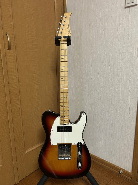 久しぶりのTLタイプ「Tree Dots Guitars T Model」 | 中原めいこを探し