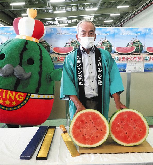 長雨なんの スイカ成長 「入善ジャンボ」本格出荷始まる：北陸中日新聞Web
