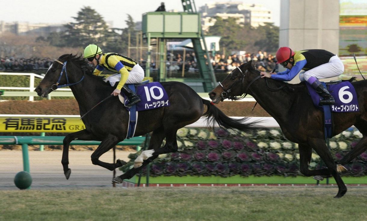 ハーツクライ死す 22歳 2005年の有馬記念、06年のドバイシーマ