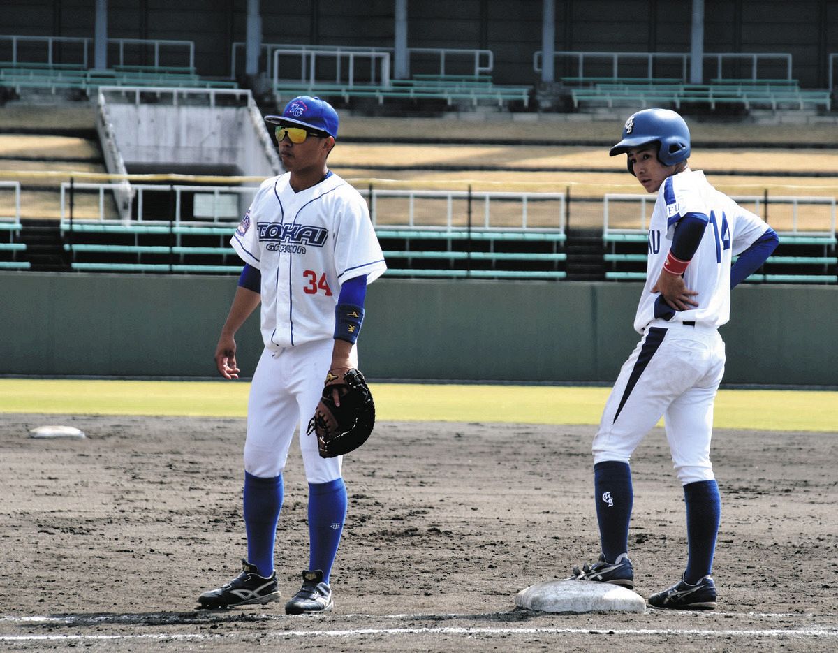 東海大学 野球部 グラコン 2024 東海大学 野球部 グラコン Annex