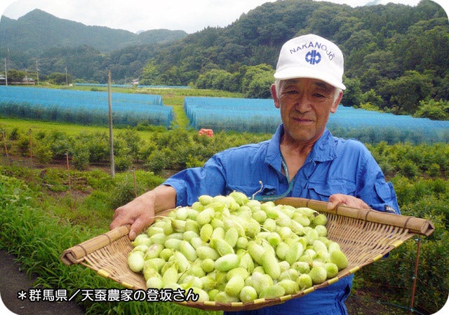 天然シルクをたっぷり使った“わんちゃん用 シャンプー｜マクアケ