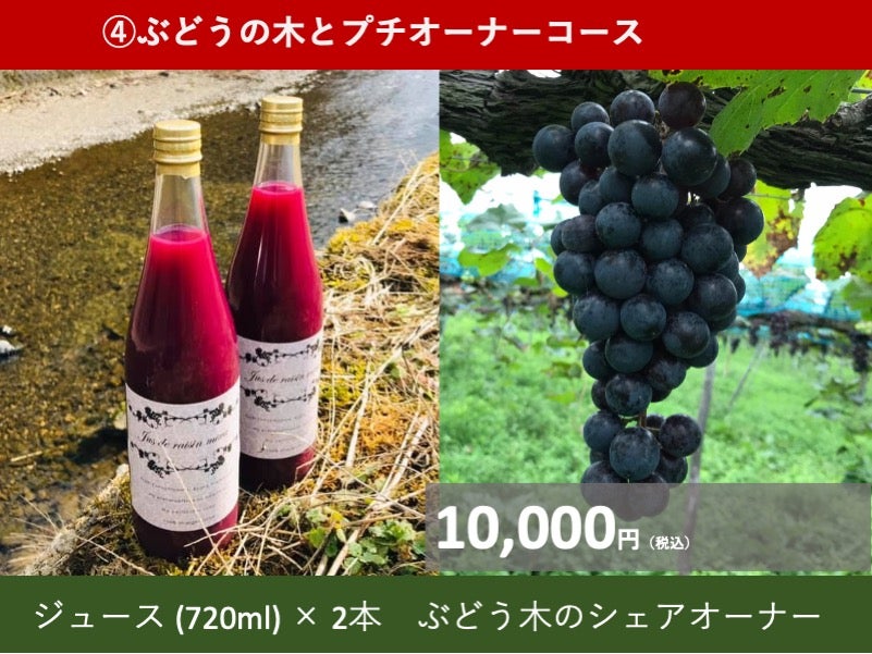 樹上完熟で糖度20度。三和ぶどうジュース、京都から極上の味わいを