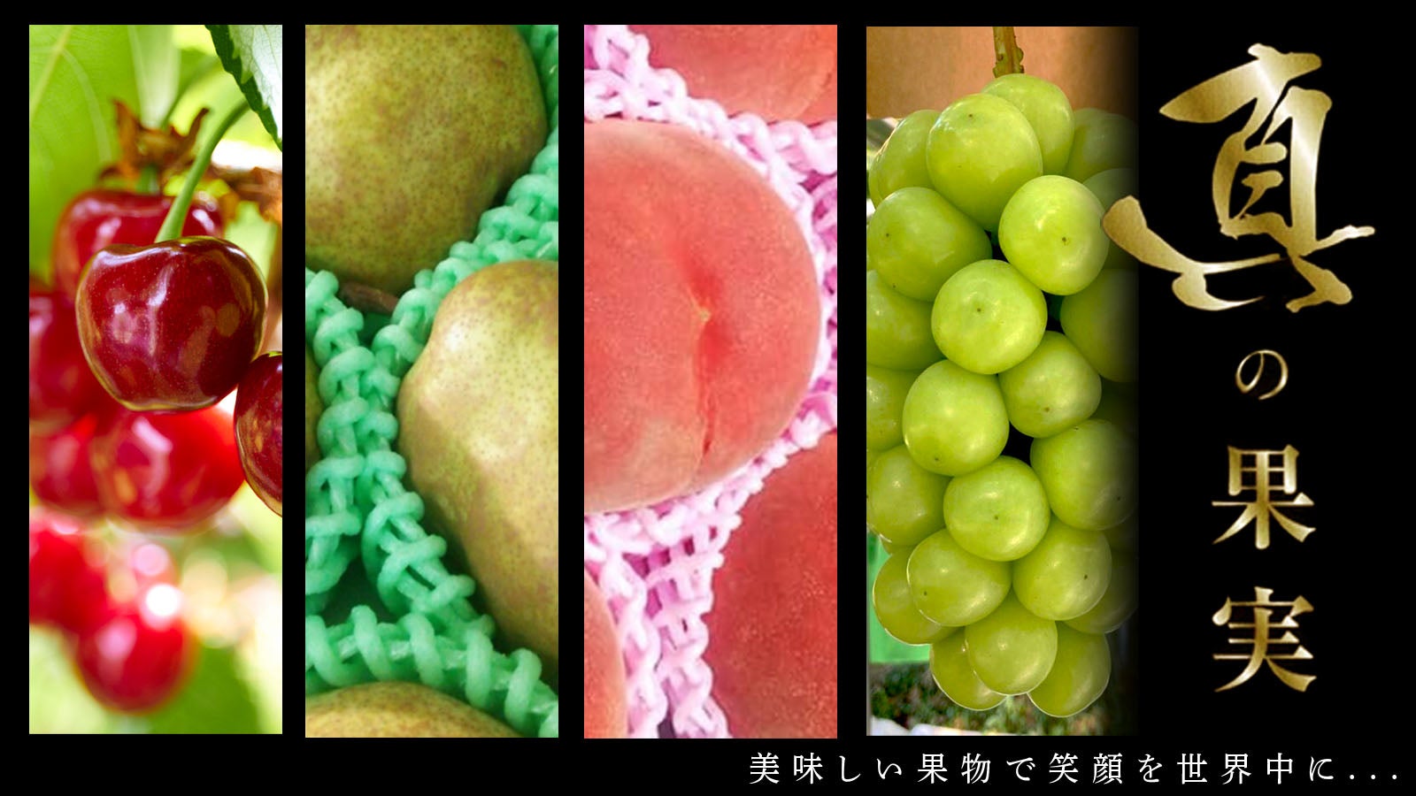 一切の妥協を許さず栽培した《真の果実》果物王国山形から旬の果実お