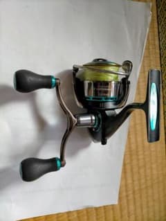 m46996923107_1.jpg?1616819550