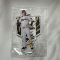 m40066728030_1.jpg?1757928371