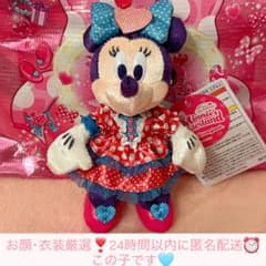 顔衣装厳選‼️】ぬいぐるみバッジ ミニー ミニパル ぬいば - メルカリ