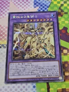 遊戯王 聖秘なる竜騎士 サクラメンタム ドラグーン シークレット