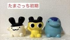 m51167096764_1.jpg?1723778752