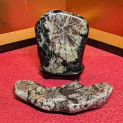 菊花石 岐阜県根尾谷産371㌘ 鑑賞石 観賞石 水石 盆石 天然石 置物