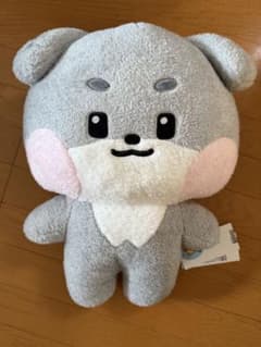 zeroni フラットぬいぐるみ ゴヌク gunini ゴニニ zb1 ゼベワン - メルカリ